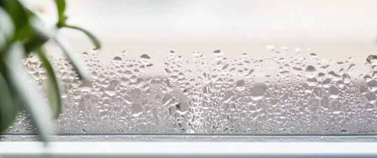 Winter condensation challenge