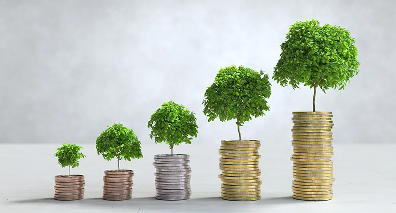 HMO Financing and Investment: Maximizing Returns and Financial Viability
